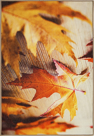 Ковёр 0,80х1,20 Gallery/ Autumn