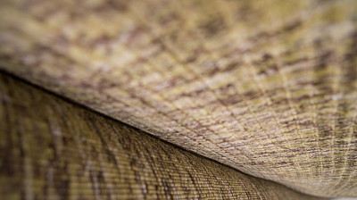 Ковёр 2,00х3,00 Индия Ribber Loopcut Nev Gold